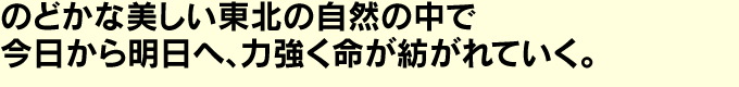 のどかな美しい東北の自然の中で
今日から明日へ、力強く命が紡がれていく。
