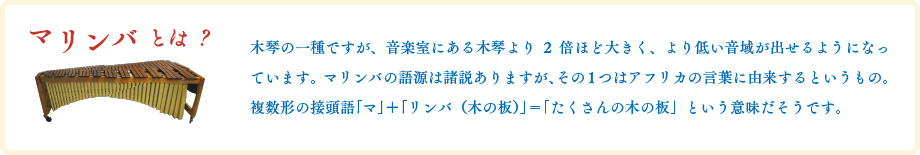 マリンバとは?|木琴の一種ですが、音楽室にある木琴より2倍ほど大きく、より低い音域が出せるようになっています。マリンバの語源は諸説ありますが、その1つはアフリカの言葉に由来するというもの。複数形の接頭語「マ」+「リンバ(木の板)」=「たくさんの木の板」という意味だそうです。
